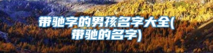 带驰字的男孩名字大全(带驰的名字)