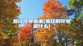 易经符号由来(易经的符号是什么)