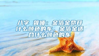 八字 聋哑:金箔金命开什么颜色的车,金箔金适合什么颜色的车