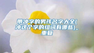 带冲字的男孩名字大全(冲这个字的组词有哪些)_重复