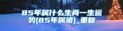 85年属什么生肖一生运势(85年属猪)_重复