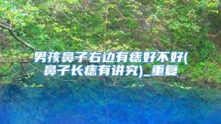 男孩鼻子右边有痣好不好(鼻子长痣有讲究)_重复