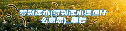 梦到浑水(梦到浑水摸鱼什么意思)_重复