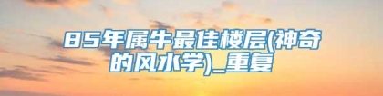 85年属牛最佳楼层(神奇的风水学)_重复