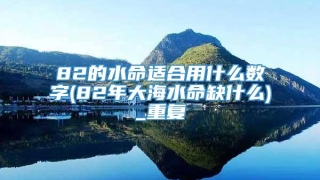 82的水命适合用什么数字(82年大海水命缺什么)_重复