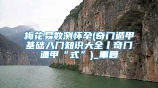 梅花易数测怀孕(奇门遁甲基础入门知识大全丨奇门遁甲“式”)_重复