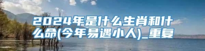 2024年是什么生肖和什么命(今年易遇小人)_重复