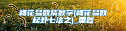 梅花易数猜数字(梅花易数起卦七法之)_重复