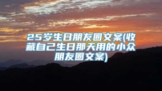 25岁生日朋友圈文案(收藏自己生日那天用的小众朋友圈文案)