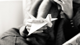 鲸骨骨相的人命最好(十二生肖诗词)