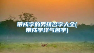 带戌字的男孩名字大全(带戌字洋气名字)