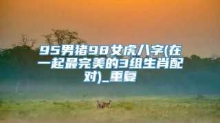 95男猪98女虎八字(在一起最完美的3组生肖配对)_重复