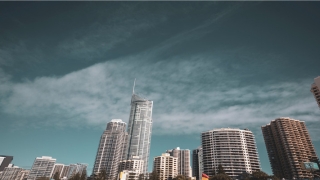 胆小如鼠的意思(胆小如鼠的解释)