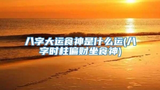 八字大运食神是什么运(八字时柱偏财坐食神)