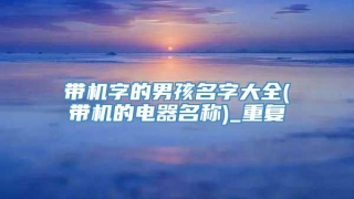 带机字的男孩名字大全(带机的电器名称)_重复