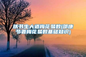 铁书生大道梅花易数(邵康节著梅花易数基础知识)