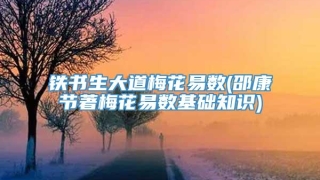 铁书生大道梅花易数(邵康节著梅花易数基础知识)