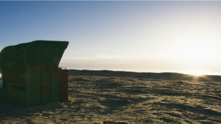 八字断婚姻断语(八字年支和日支伏吟)