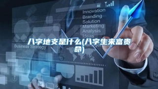 八字地支是什么(八字生来富贵命)