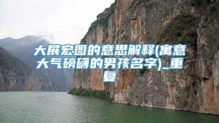 大展宏图的意思解释(寓意大气磅礴的男孩名字)_重复