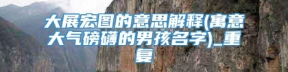 大展宏图的意思解释(寓意大气磅礴的男孩名字)_重复