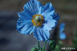 面相善良的人命运好吗(心善的人面相就年轻)
