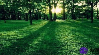 大运流年八字辰戌丑未全(大运流年八字组成子午酉卯)