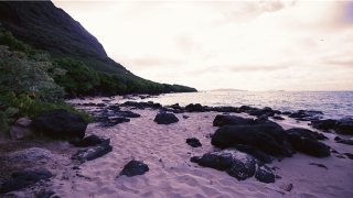 lucky怎么读(lucky出生日期)