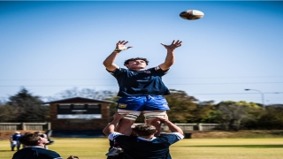 八字纯阳男是什么命(八字纯阳的命是怎样的)