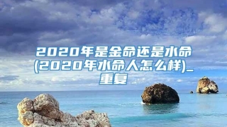 2020年是金命还是水命(2020年水命人怎么样)_重复