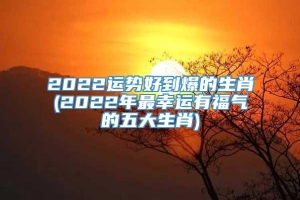 2022运势好到爆的生肖(2022年最幸运有福气的五大生肖)