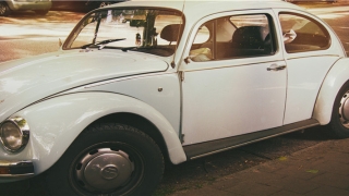 梦到蜜蜂成群围攻自己(互联网“虫患”难除)