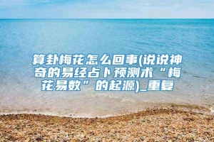 算卦梅花怎么回事(说说神奇的易经占卜预测术“梅花易数”的起源)_重复