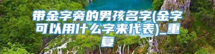 带金字旁的男孩名字(金字可以用什么字来代表)_重复