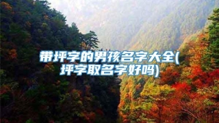 带坪字的男孩名字大全(坪字取名字好吗)