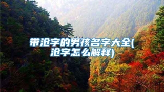 带沧字的男孩名字大全(沧字怎么解释)