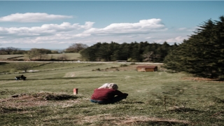 瓷都算命今年运势(默念自己的名字)