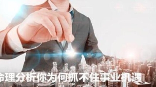 八字怎么看印星(官星印星怎么看)