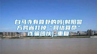 白马寺有算卦的吗(射阳警方跨省打掉“网络算命”诈骗团伙)_重复
