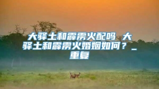 大驿土和霹雳火配吗 大驿土和霹雳火婚姻如何？_重复