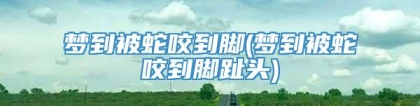 梦到被蛇咬到脚(梦到被蛇咬到脚趾头)