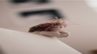 梦到被蛇咬是什么征兆(女人夜里做这梦现实倒霉又破财)