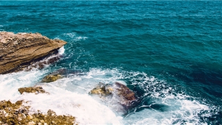 梦被疯狗咬了是什么意思(做梦被疯狗咬了)