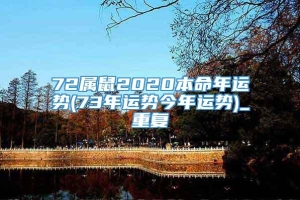 72属鼠2020本命年运势(73年运势今年运势)_重复