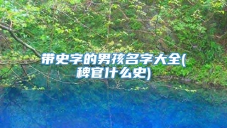 带史字的男孩名字大全(稗官什么史)