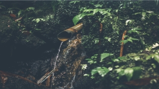 69年属鸡男感情2020运势(属鸡69年女2020年每月运势)_重复