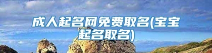 成人起名网免费取名(宝宝起名取名)