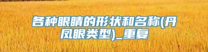 各种眼睛的形状和名称(丹凤眼类型)_重复