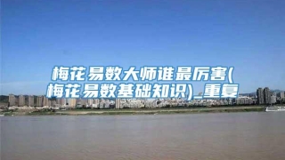 梅花易数大师谁最厉害(梅花易数基础知识)_重复