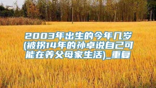 2003年出生的今年几岁(被拐14年的孙卓说自己可能在养父母家生活)_重复